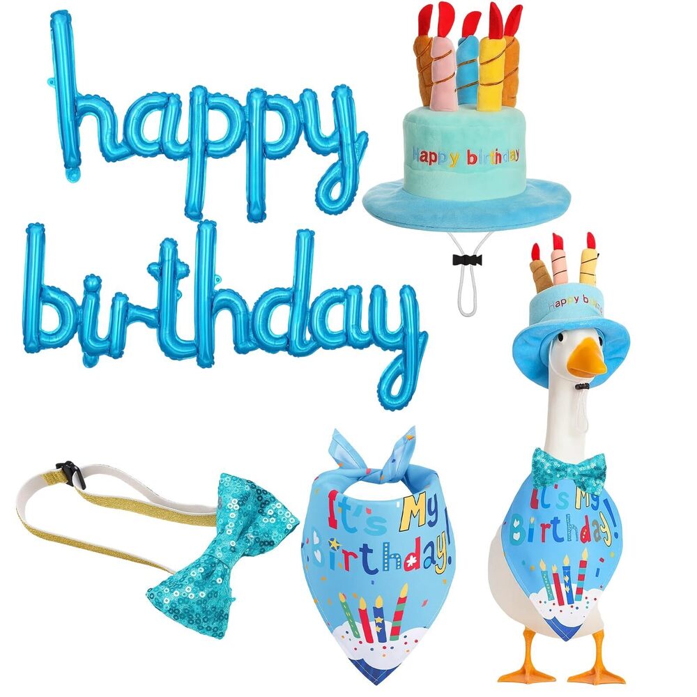 6233 Birthday Outfit, Birthday Goose Outfit Set With Hat, Bib,